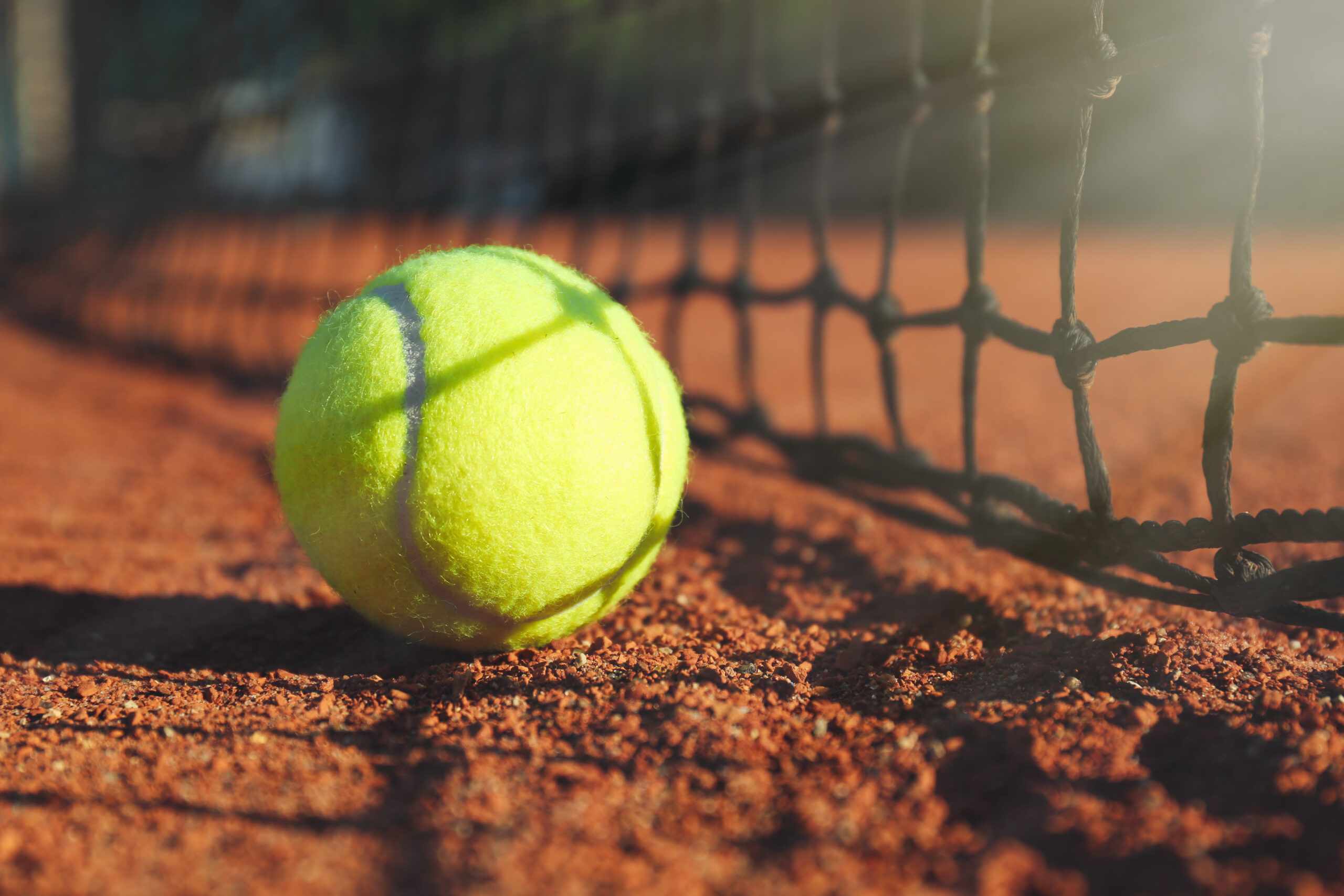 Une photo d'une balle de tennis.